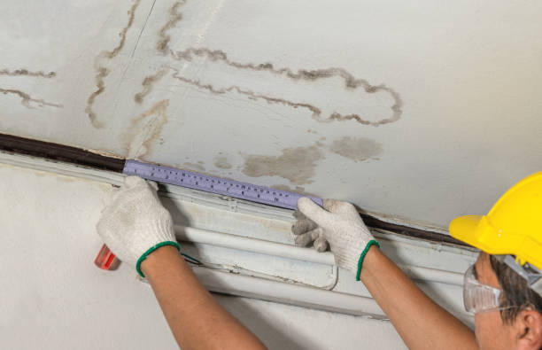 Reliable Sewage Cleanup contractor in Quincy, CA by Water Damage Irwin